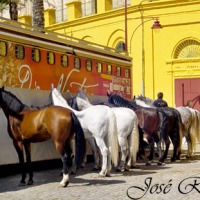 Foto de Jerez de la Frontera