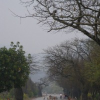 Foto de Yacuibay