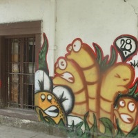 Foto de Llay Llay