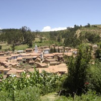 Foto de Totora