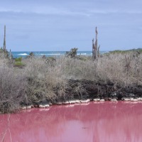 Foto de Galápagos