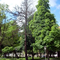 Foto de Oviedo