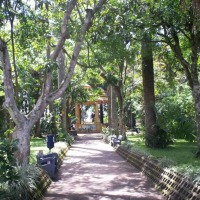 Foto de Alajuela