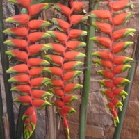 Foto de Yacuiba
