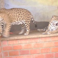 Foto de Yacuiba