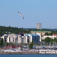 Foto de Helsinki