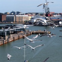 Foto de Helsinki