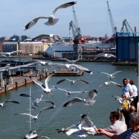 Foto de Helsinki