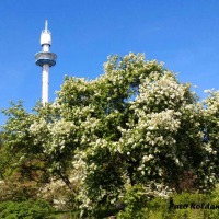 Foto de Helsinki