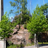Foto de Helsinki