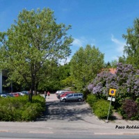 Foto de Helsinki