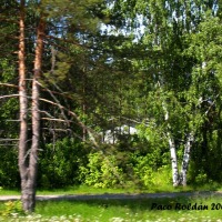 Foto de Helsinki