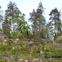 Foto de Helsinki
