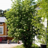 Foto de Porvoo