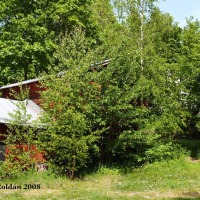 Foto de Porvoo