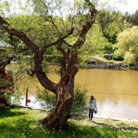 Foto de Porvoo