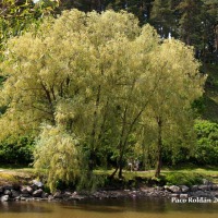 Foto de Porvoo