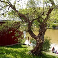 Foto de Porvoo