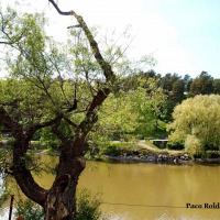 Foto de Porvoo