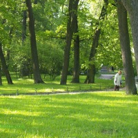 Foto de St.Peterburg
