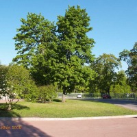 Foto de St.Peterburg