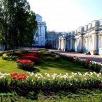 Foto de St.Peterburg