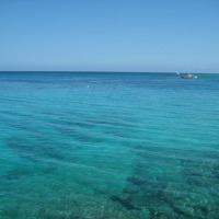 Foto de Mongobay , Jamaica