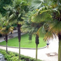 Foto de Oviedo