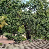 Foto de Oviedo
