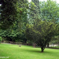 Foto de Oviedo