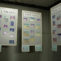 Foto de Iquique