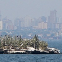 Foto de Isla de Pajaros