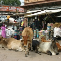 Foto de Jodhpur