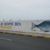 Foto de Arica