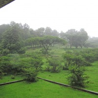 Foto de Addis (Abeba)