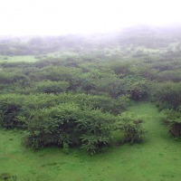 Foto de Addis (Abeba)