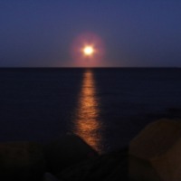 Foto de Montevideo