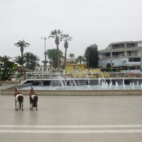 Foto de Arica