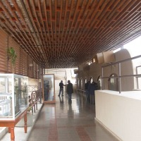 Foto de Arica