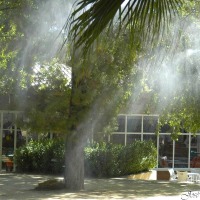 Foto de Jerez de la Frontera