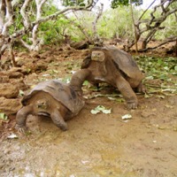Foto de San Cristobal (Galápagos)