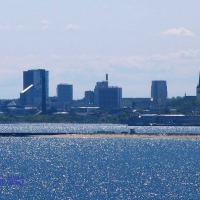 Foto de Tallin