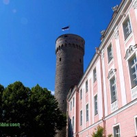 Foto de Tallin