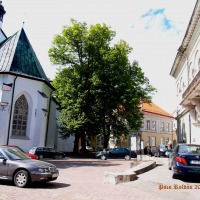 Foto de Tallin