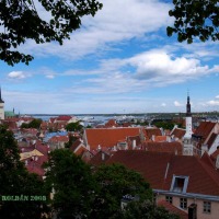 Foto de Tallin