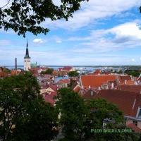 Foto de Tallin