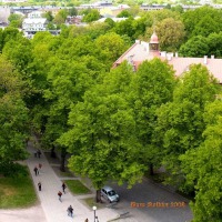 Foto de Tallin