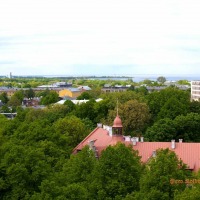 Foto de Tallin