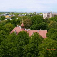 Foto de Tallin