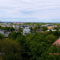 Foto de Tallin